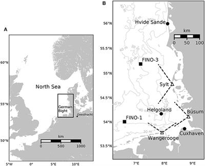 Optimisation of Parameters in a German Bight Circulation Model by 4DVAR Assimilation of Current and Water Level Observations